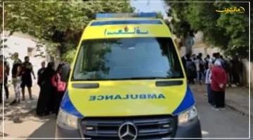 رصاصة طائشة تنهي فرح المنوفية.. مصرع طالب بطلق خرطوش عن طريق الخطأ بحفل عرس والتحقيقات تكشف ملابسات الواقعة 1